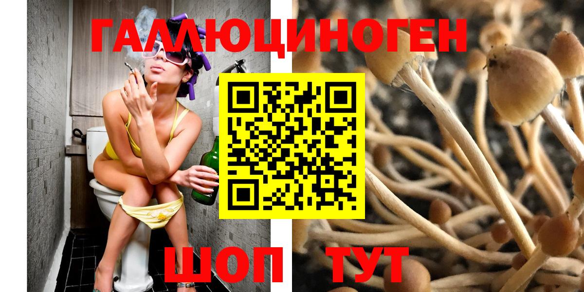 Галлюциногенные грибы мухоморы Югорск